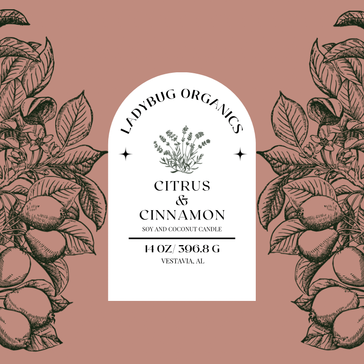 Citrus and Cinnamon Candle