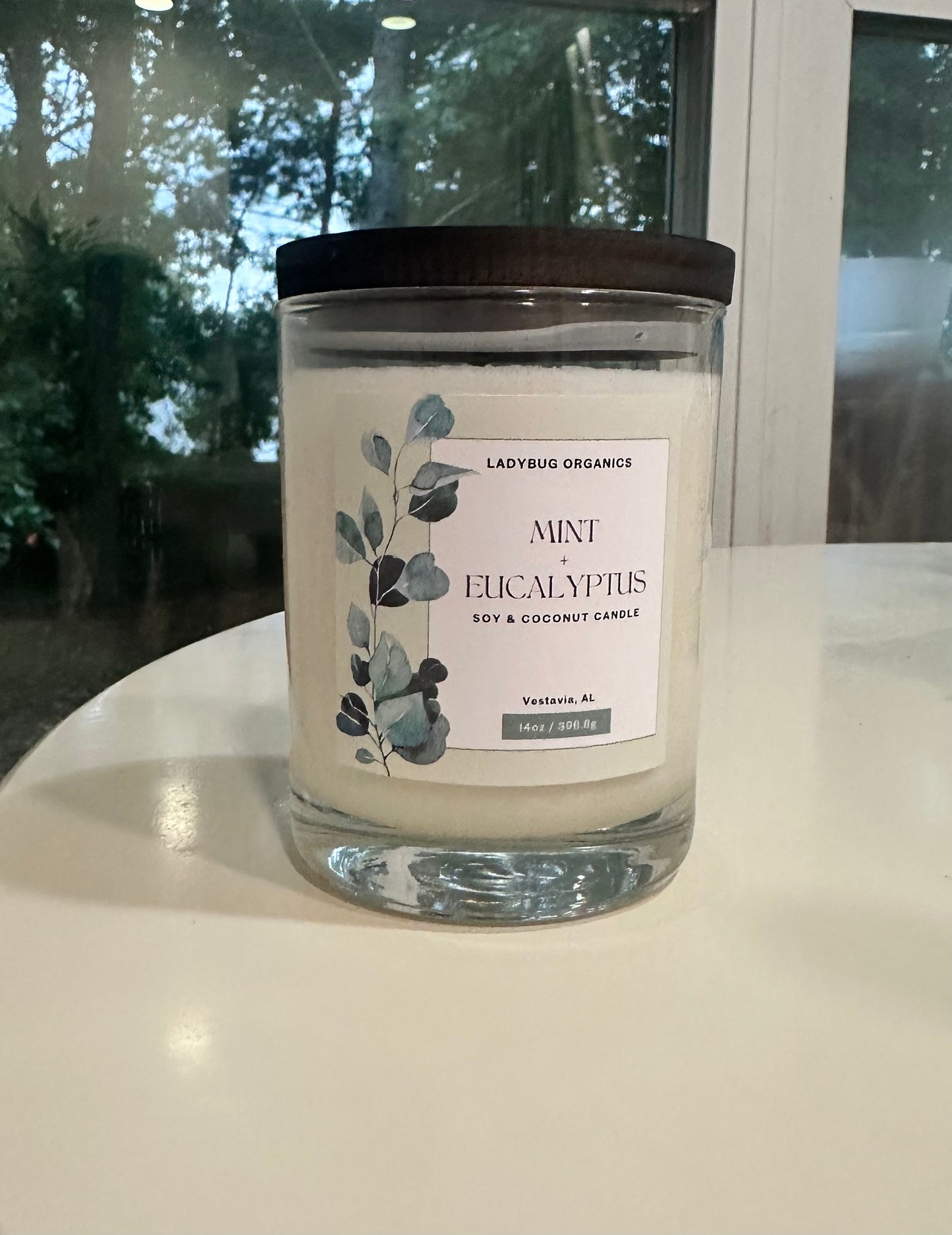 Eucalyptus and Mint Soy and Coconut Candle