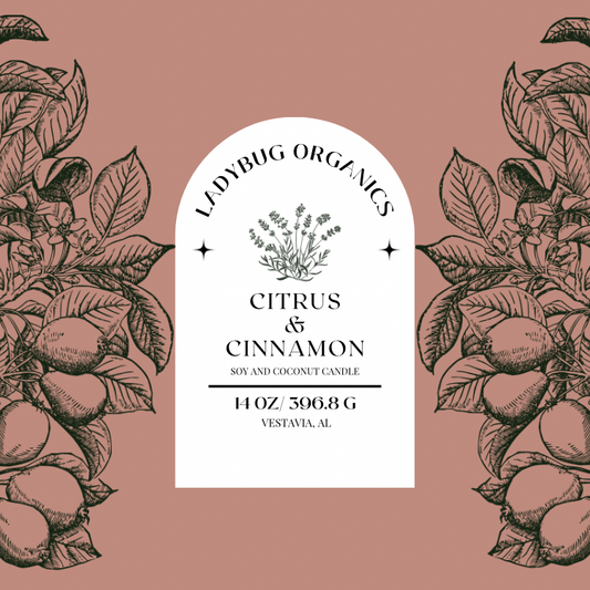 Citrus and Cinnamon Candle