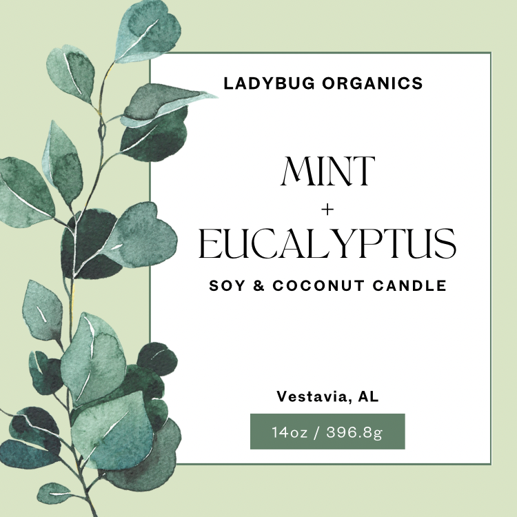 Eucalyptus and Mint Soy and Coconut Candle